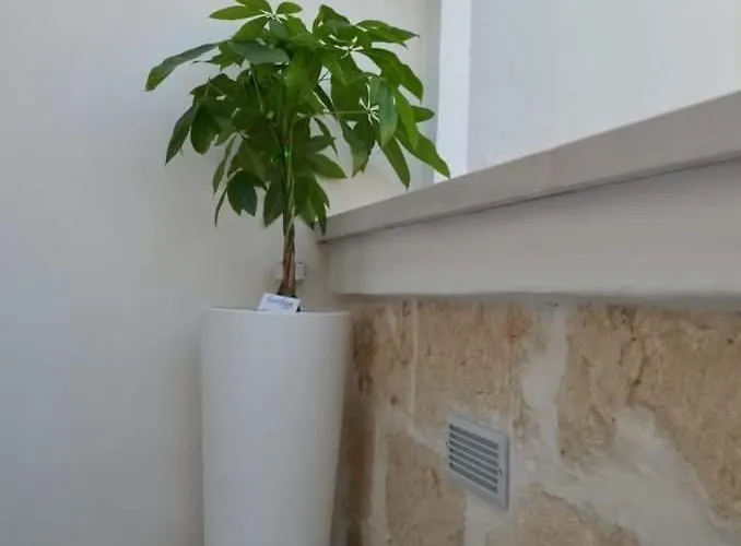 Cieli Di Dante Pensión Conversano